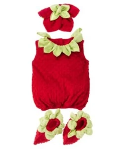 GYMBOREE HALLOWEEN STRAWBERRY COSTUME 6 12 18 24 2T 3T 4T 5T NWT - Picture 1 of 1