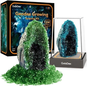 NEU GobiDex Geoden Kristall Anzuchtset für Kinder 24 Stunden Wissenschaft Experimente Kits - Bild 1 von 7