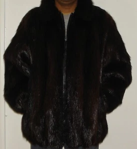 Chaqueta de Piel Castor Damisela para Hombre Talla 38-40 ENVÍO GRATUITO Excelente Estado - Imagen 1 de 7