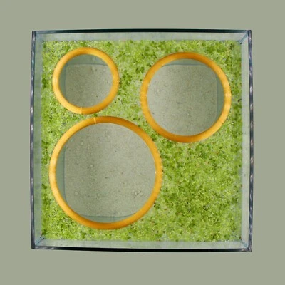 Кормовое кольцо для аквариума с плавающим растением уткой (купите 2 получите 1 бесплатно) - Изображение 1 из 4