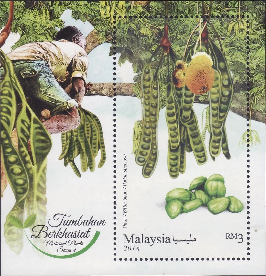 Malaysia 2018 Medical Plants Series 4 ~ M/S Mint - Image 1 of 1