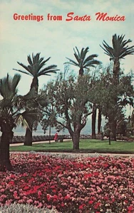 Santa Monica Greetings From Palisades Park Red Flowers CA Vintage Postcard - Picture 1 of 2