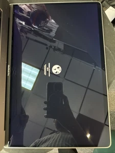 OEM Macbook Pro 16" A2141 2019 2020 LCD Display Assembly Space Gray A Cond - Picture 1 of 3