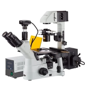 Amscope 40X-900X Trinocular Inverted Fluorescence Microscope +2MP USB 3.0 Camera - Picture 1 of 9
