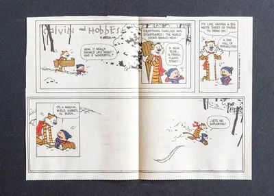 Calvin and Hobbes Final Sunday Comic 31 de dezembro de 1995 Let's Go Exploring! - Imagem 1 de 2