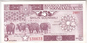 SOMALIA 5 SHILLINGS 1987 P 31c AU/UNC RARE REPLACEMENT Z001 - Picture 1 of 2