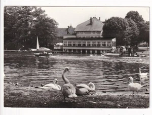 uralte AK Caputh Gaststätte und Café Fährhaus 1979 //09 - Foto 1 di 1