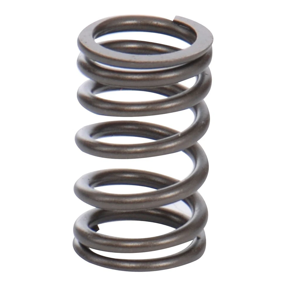 Resorte de válvula de admisión o escape de autobús VW 72-74 1700cc - 021109623K Foto 1 de 1