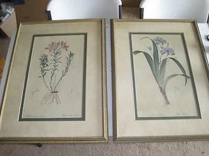 Two Custom Framed Old Iris & Alstroemeria Botany plant art prints 30x22" - Picture 1 of 10