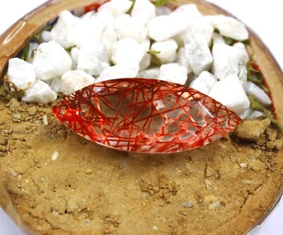 Amazing Sale Red Rutilated Quartz 81.25 Ct Certified Marquise Shape Gemstone DS - Image 1 of 4