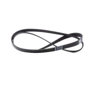 Citroen/Fiat/Hyundai/Mazda/Mitsubishi/Peugeot V-Ribbed Belt - 5750VF 5750.VF - Picture 1 of 2