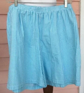 COOL FEATHERLIGHT SEERSUCKER SHORTS 20W Aqua GREAT COVERAGE New NWOT - Picture 1 of 3