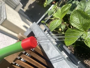 Tülle für Gieskanne für feine Bewässerung - Bild 1 von 4