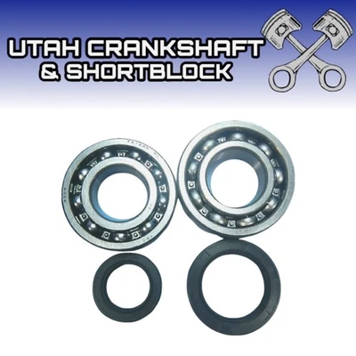 SUZUKI LT250R QUADRACER HOT RODS CRANKSHAFT BEARING AND SEAL KIT 1988-1992 250 - Image 1 of 4