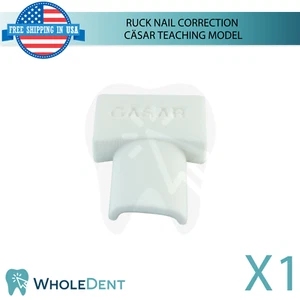 Ruck Nail Correction Cäsar Teaching Model Beginner Level Training Object - Picture 1 of 4