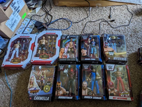 WWE Figure Lot Cover
