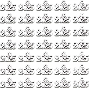 100Pcs Mini Year Signet 2025 Charms Pendants Beads for DIY Bracelet Necklace Ear - Picture 1 of 7