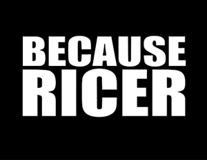 BECAUSE RICER 6X3 Vinyl Decal / Sticker / Window Sticker Graphic - Picture 1 of 6