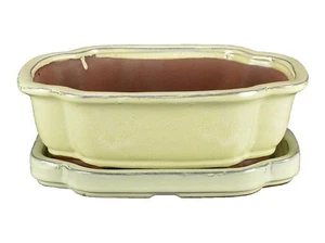 Vaso + sottovaso per bonsai ovale (forma mokko) in gres smaltato bianco 23x18,5x - Photo 1/1