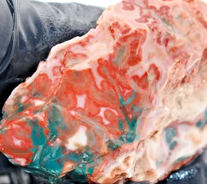 2.36oz Idaho Sunset Lone Juniper Jasper Agate Rough Raw Natural Rare Low Stock - Picture 1 of 14