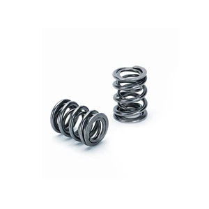 Supertech Dual Valve Spring For Honda B16A/B17A/B18C Set of 16 - Picture 1 of 4