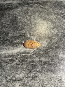 Centavo prensado alargado GATLINBURG TENNESSEE GRAN CIERVO DE MONTAÑA AHUMADO, ENVÍO Y DEVOLUCIÓN GRATUITOS - Imagen 1 de 4