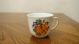Set of 2 Vintage BAREUTHER Waldsassen Bavaria Germany Fruit Design Flat Cups - Picture 1 of 3