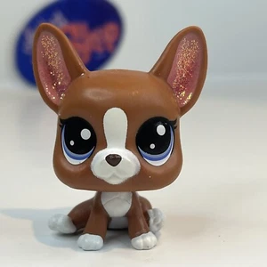 ROXIE BOSTON TERRIER DOG #2-92 - Authentic Littlest Pet Shop - Hasbro LPS - Picture 1 of 4