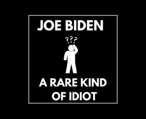 USA 2024 Joe Biden: A Rare Kind of Idiot Funny Elections Car Vinyl Decal Sticker - Picture 1 of 2