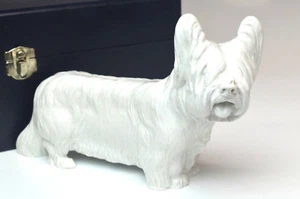 Antigua estatuilla de perro Meissen rara porcelana Skye Terrier con caja original - Imagen 1 de 17