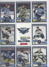 2005-06 Fresno Falcons (ECHL) complete 26 card team set