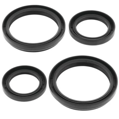 QuadBoss Differential Seal Kit For Arctic Cat 700 LTD 4x4 EFI 2012-2014 Front - Image 1 of 3