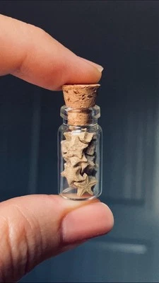 A Bottle of 18 Crinoid Star Fossils - Image 1 of 4