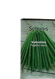 Ejote Francés Nano Valentino Para Siembra Verano Semilla Blanco KG 5 O 5 X 1 K G - Imagen 1 de 1