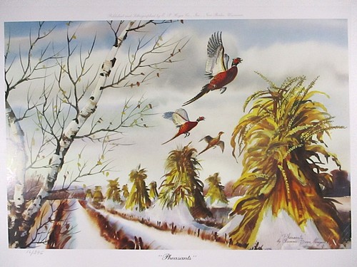 Bild 1 von 7