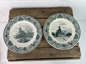Pair Of Mason’s Ironstone Game Birds Plates. 1950s. 10.5” Pheasant & Red Grouse. - Picture 1 of 15