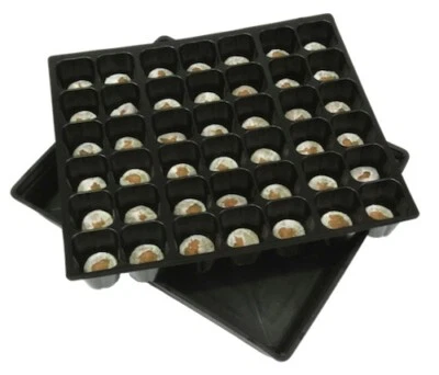 35mm Jiffy-7 Coir Pellets + 42-cell Tray Liner + Hydro Tray - Propagation - image 1 of 2