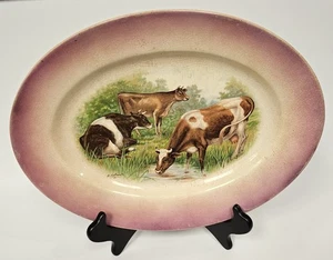 Vintage R.K.Beck Cow Platter Crazing 13 1/2" X  10 1/4" Salem China Co. - Picture 1 of 7