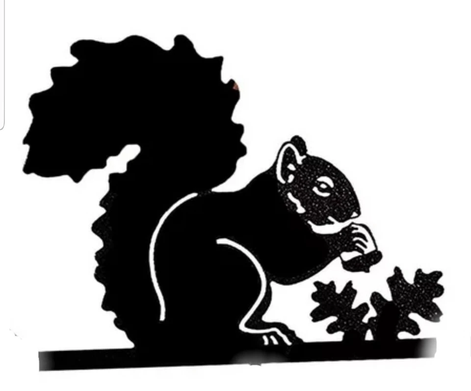 SQUIRREL ACORN Vinyl Decal -Sticker for Jeep Car Truck Bumper Wall Window - Image 1 of 2
