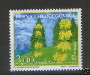 SELLO BOSNIA-CROACIA-HERZEG-BOSNIA-MNH-FLORA-2007. - Imagen 1 de 2