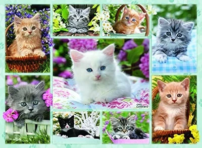 Ravensburger Jigsaw Puzzle: Kitten in a Basket 500 Pieces Finished Size: 49x36cm - Image 1 of 4