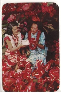 1950s Anthuriums of Hawaii Color Photo Postcard #1804 - Picture 1 of 2