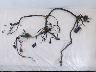 Telar arnés de cableado principal KTM 990 Super Duke 2007-2008 Foto 1 de 4