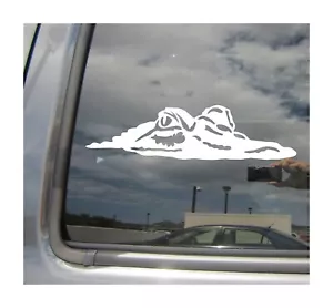 Crocodile - Reptile Alligator Croc High Quality Window Vinyl Decal Sticker 01203 - Picture 1 of 2