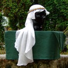 Gewandung Schleier Seide  Mittelalter Reenactment  LARP Damen