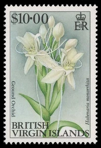 Islas Vírgenes 1992 - Mi-Nr. 765 ** - MNH - Orquídeas / Orquídeas - Imagen 1 de 1