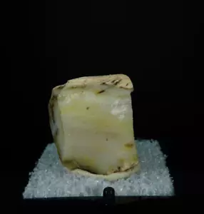 Opalized Petrified Wood / Oregon / Thumbnail Mineral Specimen - Picture 1 of 4
