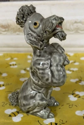 Caniche de espagueti pidiendo golosinas, gris vintage Foto 1 de 4