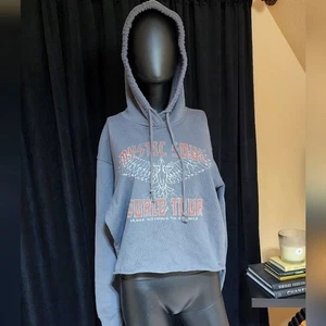HOLLISTER California Hoodie Sweatshirt Medium Gray Mystic Love Graphic Pullover - Picture 1 of 8