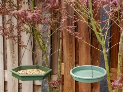 LIFETIME GARDEN 2 pz Alimentatore e bagno per uccellini inc catena sospesa vassoio per alimentazione fauna selvatica bagno d'acqua